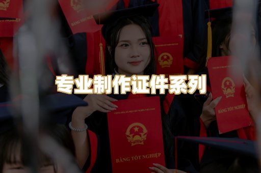 专业制作证件系列